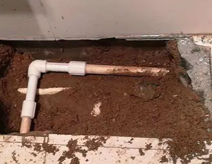 虹口测漏水哪家好