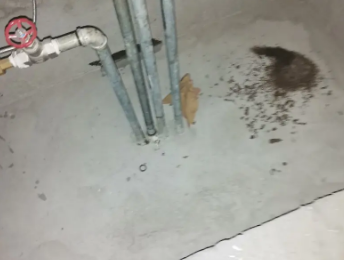 虹口卫生间测漏水价格明细