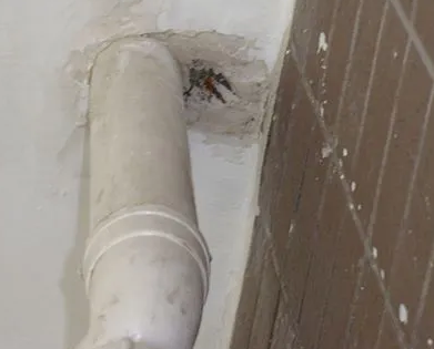 虹口漏水检测哪家好